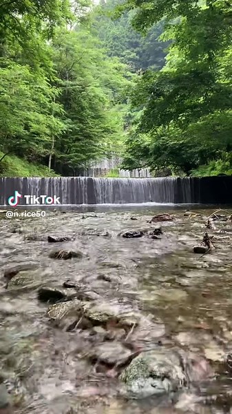 #群馬県 #神流町 #神流川 #渓流 #釣り🎣#堰堤#山女魚🐟 #⛰️自然
