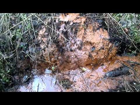 'Orange Gunge' - Iron Bacteria and Bog Iron