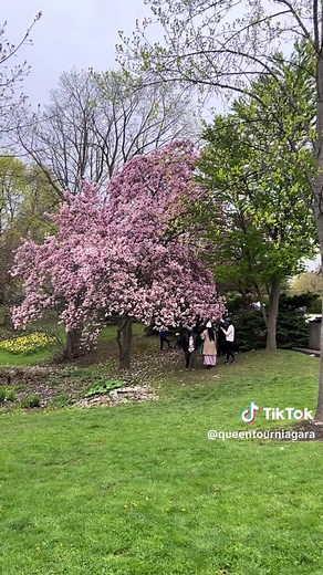 Experience Niagara-on-the-Lake: Your Perfect Day Trip