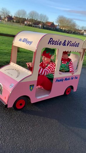 Mr Whippy Elves