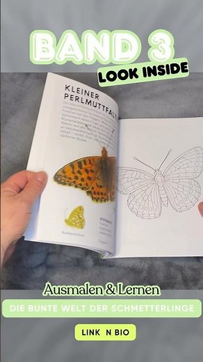 Ausmalen & Lernen - Band 3 - Die bunte Welt der Schmetterlinge - Look Inside
