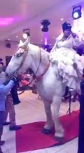 7.3K views · 17 reactions | les congolais ne font pas le choses a moitié voici l'entree du marié | DATA Base | Facebook