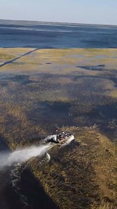 Experience the ultimate thrill ride with our airboat tours at Boggy Creek Airboat Adventures! 🌟 Hold on tight as you zip through the marshlands and encounter wildlife up close 🐊 📍 Book now for an adventure you’ll never forget! #BoggyCreekAirboatAdventures #AirboatTours #florida #thingstodoinflorida #thingstodoinorlando #floridatours #alligators #butterflygarden #escapetonature | Boggy Creek Airboat Adventures
