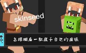 怎样拥有一款属于自己的皮肤？（手机也行）