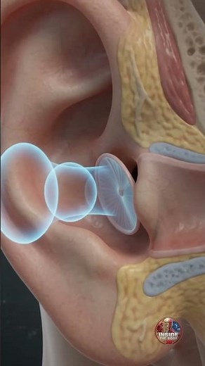 Inside Ear Pain: What an Ear Infection Looks Like 👂 (3D Animation) #3danimation #shorts