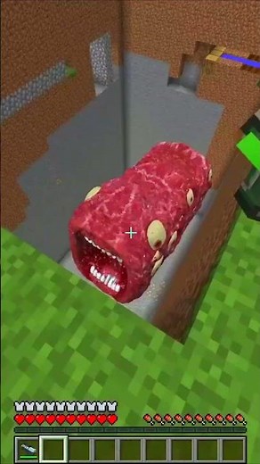 #Minecraft #Zenichi and Mikey #Maizen