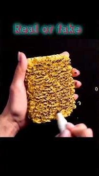 Viral Noodle Stamp Truth! 😱