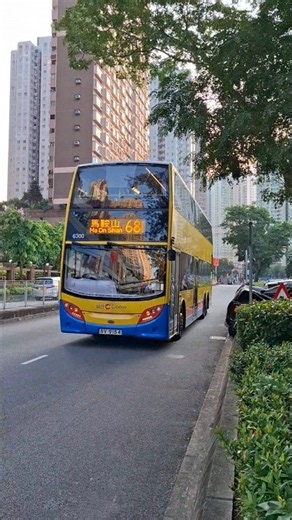 [中特!!]CTB 城巴 SV9154 樣板巨無霸 6300行走681#ctb #citybus #城巴 #城巴citybus #adl #e500mmc #mmc #6300#巨無霸#特見#681