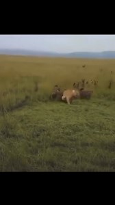 When the enemy thought he had you. But Jesus said you are mine!!!!! | Heather Johnson