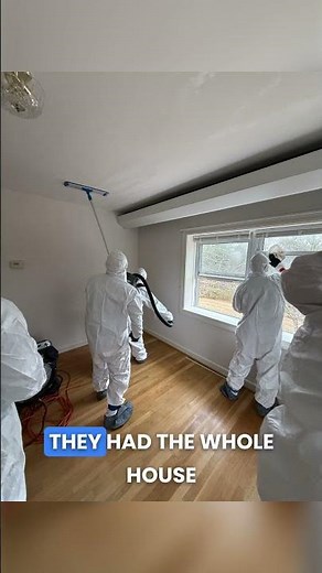 Mold Remediation in Travelers Rest, SC | Crawl Space, Basement & Main Floor Restored