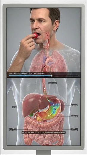 The Fascinating Role of Raspberry in Your Body