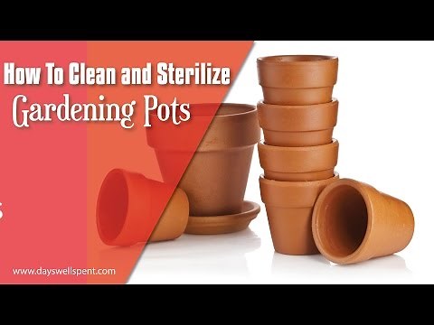 How To Clean and Sterilize Gardening Pots