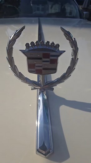 🤣🔥😊 | Michael Scherr