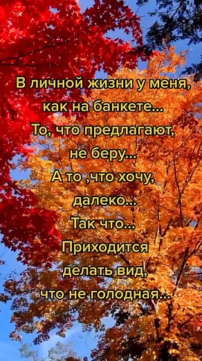 Stunning Autumn Trees in Vibrant Colors