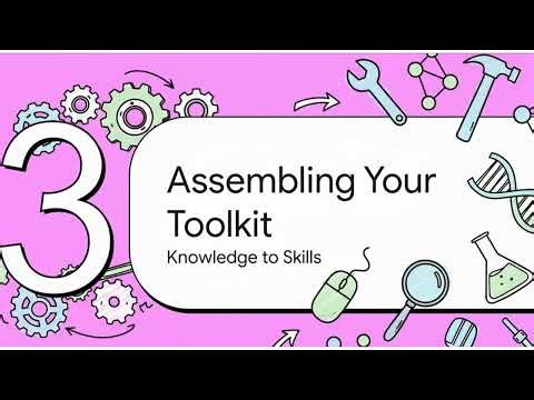 Bioinformatics Career Map: From Biology Student to Data Scientist