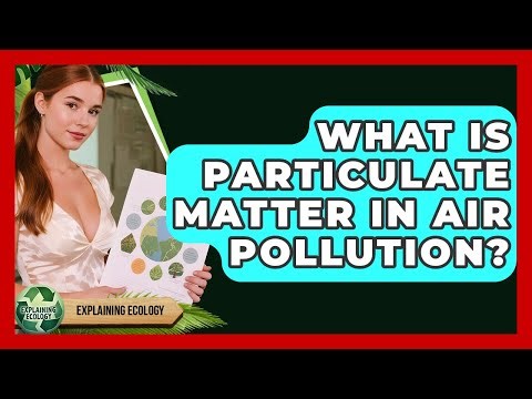 What Is Particulate Matter In Air Pollution? - Explaining Ecology