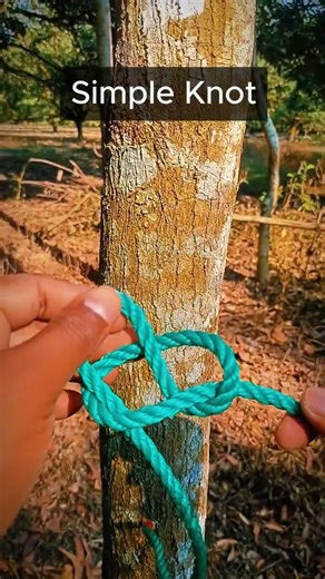 A Simple Knot That Anyone Can Tie #knot #knottutorial #rope #camping #ropeknot #knotskill