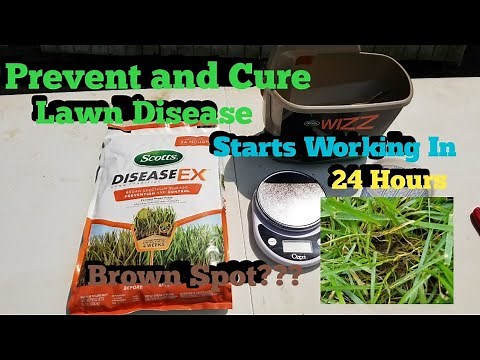 How To Use Scotts Disease Ex/How To Prevent Lawn Fungus
