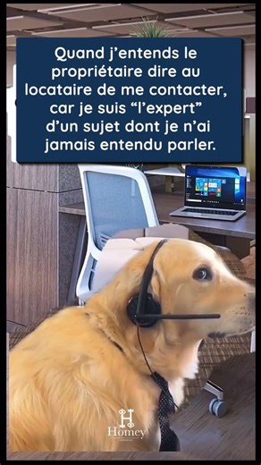 CONSEIL IMMOBILIER HAUTE-SAVOIE : QUAND L'EXPERT NE COMPREND RIEN ! 😂🏠 #Immobilier #HauteSavoie