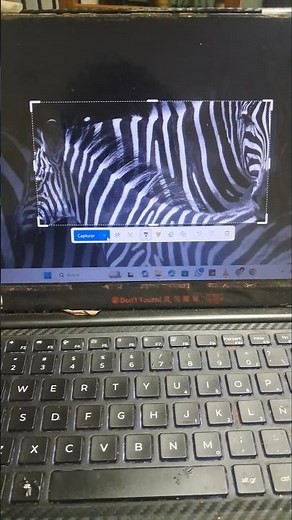 This is how you take a screenshot in Windows #windows #viralreels #tips #hacks
