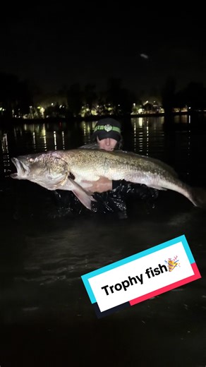 Land-Based Fishing Success: Catching a 23 kg Jewfish
