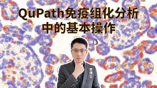 【QuPath】免疫组化分析中涉及的基本操作