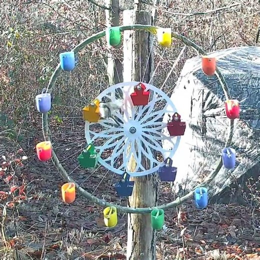 RUOTA PER UCCELLI - FERRIS WHEEL BIRD FEEDER - SHORTS