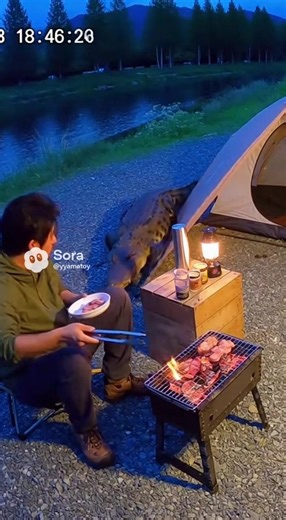 キャンプ場で楽しむ焼肉と川辺の魅力