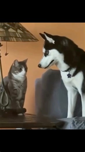 I regret having pets 😂🤦🏾‍♂️ | Terrell green