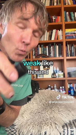 Coughing dog can be tracheal collapse- 3 effective home remedies! #dogcough #cough #trachealcollapse #sickdog #doghelp #homeremedies