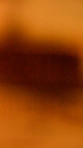 Shop cowboy essentials before they’re gone! 🤠 | South Texas Tack