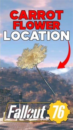 The BEST PLACE To Get CARROT FLOWERS In Fallout 76