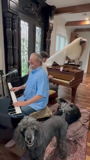 Julian Brock Gospel Piano on Reels