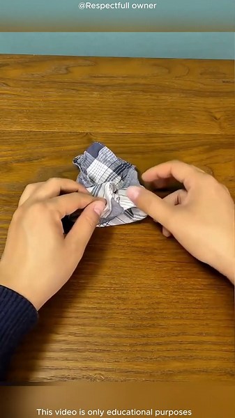 🐭😱 “How is this moving cloth mouse actually moving? Everyone is shocked!” 🧣✨ #shortvideo