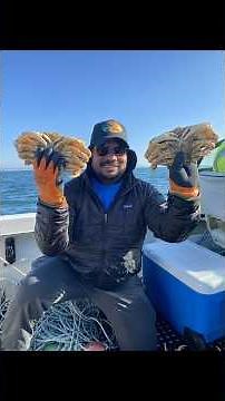 Bodega Bay Crabbing. Got checked by Fish and Game