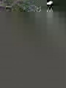 17K views · 211 reactions | When they start talking, you know they aren’t leaving without some lead poisoning • • • • #doggin #decoydoggin #dogginseason #montana #foxpro #poundingfur #sitemdown #shutemup #hornady #hsguns #poundingfur #BOGhunt #sigsauer #coyotehunting #inmyelement #kenetrek #lightsout | Doggin with Levi | Facebook