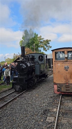 100 years and still going strong 💪🏻 german #narrowgauge steam #dampflokomotive #trainspotting