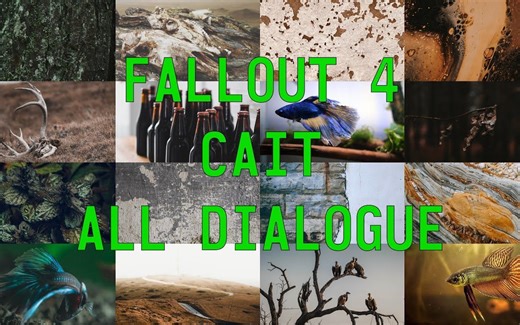 Fallout 4 Cait - All Dialogue (cut content included)
