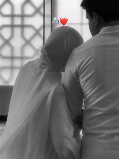 Embracing Comfort and Connection