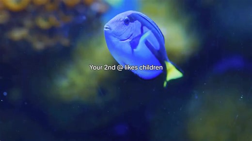 Aaron&Walker (@aaronwalker64)’s videos with Communications Satellite/Computer/Robot Sounds - Sci-Fi - DJ Sound Effects