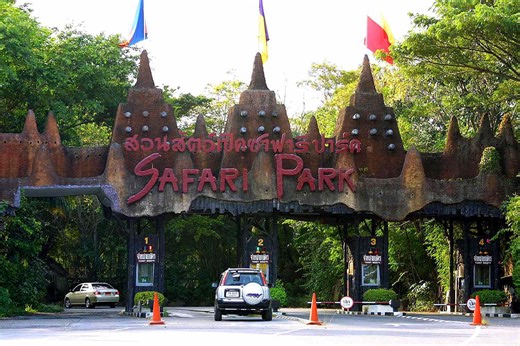 Zookeeper Killed by Pack of Lions in Front of Horrified Tourists: Reports