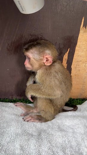 user76250705963277 on TikTok