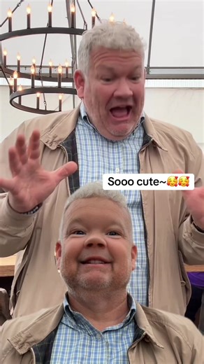 Adorable Cat Moments Compilation