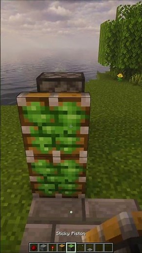 Minecraft Automatic Double Door🚪