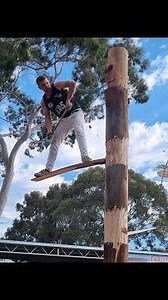 TREE FELLING CHAMPIONSHIP COMPETITION🪓🪓🪓