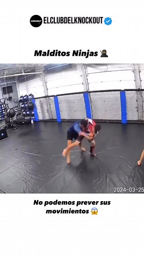 Malditos Ninjas del Jiu Jitsu 🤣 Síguenos solo si te gustan las peleas, el boxeo o las MMA 🤝 @elclubdelknockout #ko #knockout #knockouts #deportesdecombate #mma #boxing #ufc #kickboxing #bjj #lucha #entrenamiento #peleador #deportes #nocaut #nocauts #peleando #golpe #puñetazo #puño #boxeo #boxeando #muaythai #artesmarciales #artesmarcialesmixtas | El Club del Knockout