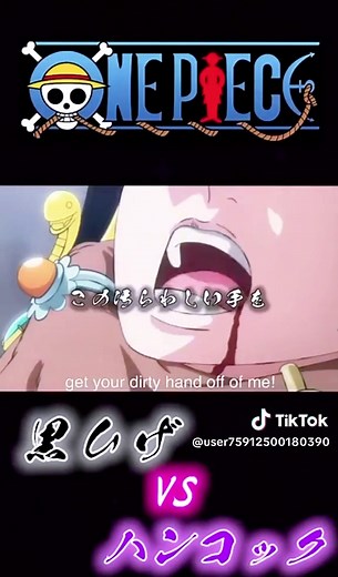 ワンピースのハンコックと黒ひげの激闘