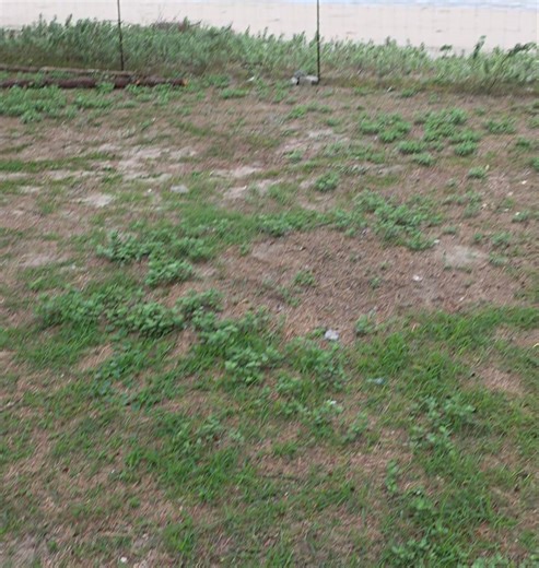 Back To Nature Camp on Reels