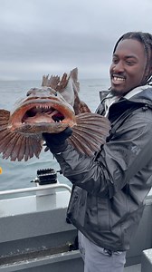 1.4K views · 365 reactions | One of the wildest looking fish I’ve ever caught on my adventures, a 30-pound lingcod way offshore in Alaska  #iBelongOutdoors #Alaska #Fishing #DeepSea #Lingcod #PennFishing | Emmanuel Williams | Facebook