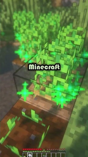 🌱Potato Farming🥔in Minecraft🌱